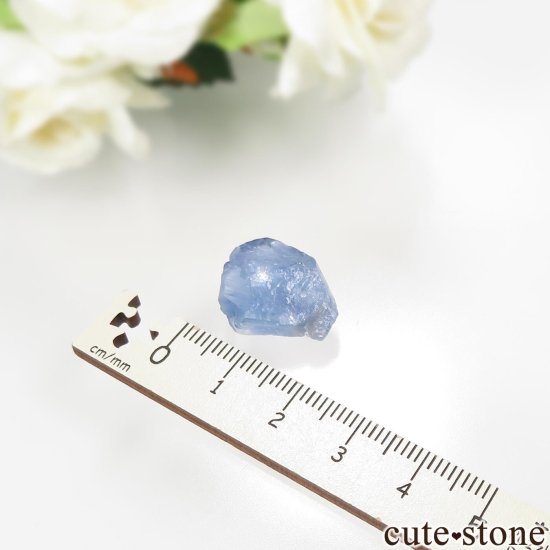ꥫ ˥塼ᥭ TEAA Mine ֥롼ե饤Ȥθ No.14μ̿3 cute stone