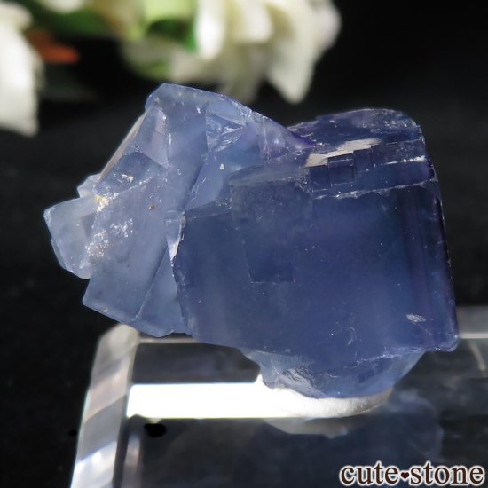 ꥫ ˥塼ᥭ TEAA Mine ֥롼ե饤Ȥθ No.15μ̿0 cute stone
