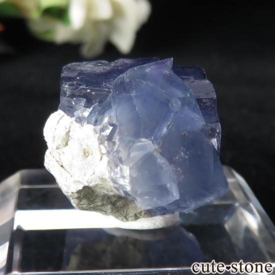 ꥫ ˥塼ᥭ TEAA Mine ֥롼ե饤Ȥθ No.15μ̿1 cute stone