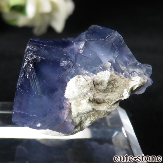 ꥫ ˥塼ᥭ TEAA Mine ֥롼ե饤Ȥθ No.15μ̿2 cute stone