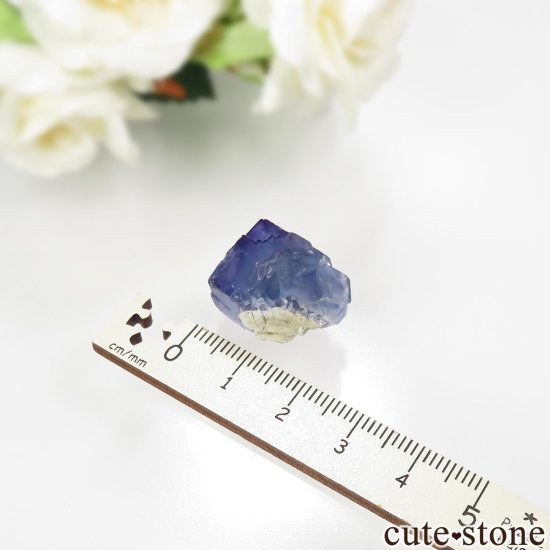 ꥫ ˥塼ᥭ TEAA Mine ֥롼ե饤Ȥθ No.15μ̿3 cute stone