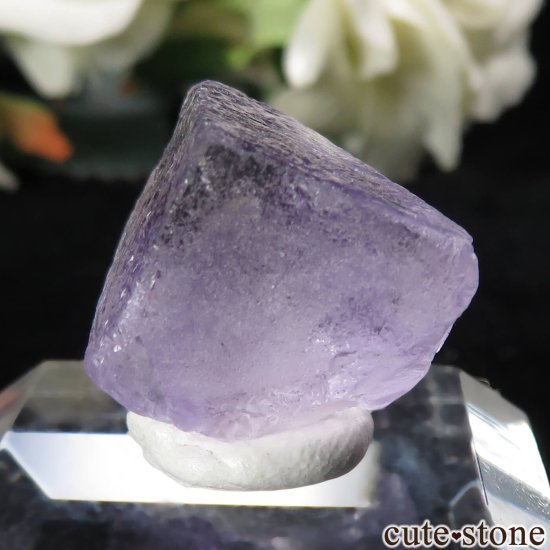 ᥭ Ojuela Mine (ϥ) ե饤Ȥθ No.9μ̿2 cute stone