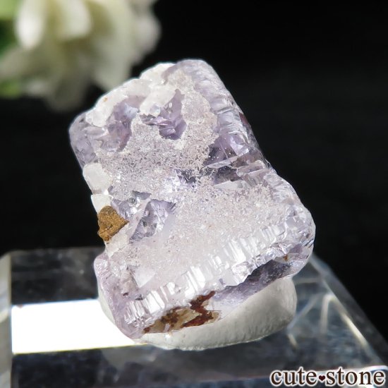 ᥭ Ojuela Mine (ϥ) ե饤Ȥθ No.10μ̿0 cute stone