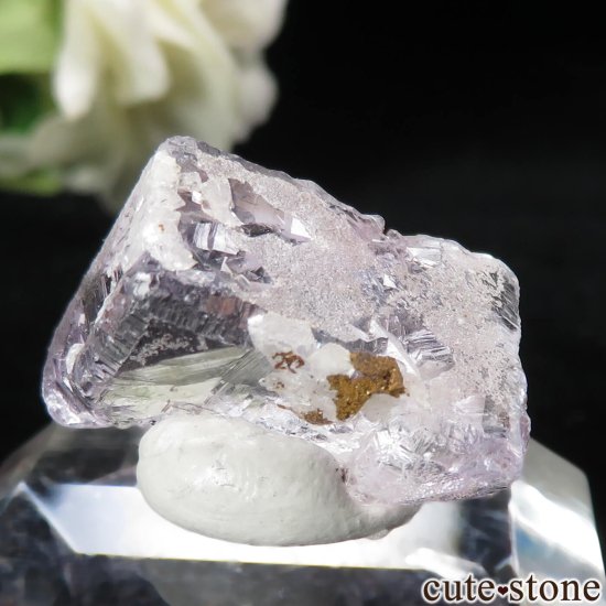 ᥭ Ojuela Mine (ϥ) ե饤Ȥθ No.10μ̿1 cute stone