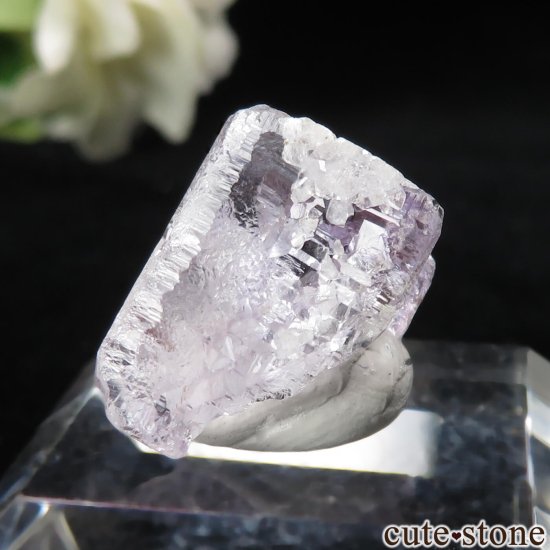 ᥭ Ojuela Mine (ϥ) ե饤Ȥθ No.10μ̿2 cute stone