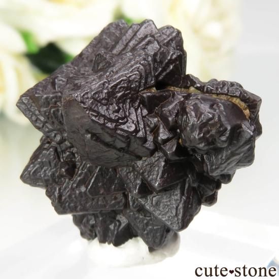 赤鉄鉱（白鉄鉱仮晶）　ヘマタイト　鉱物標本　エジプトの星　仮晶 針鉄鉱(白鉄鉱仮晶) エジプトの星 257 エジプト - 鉱物標本