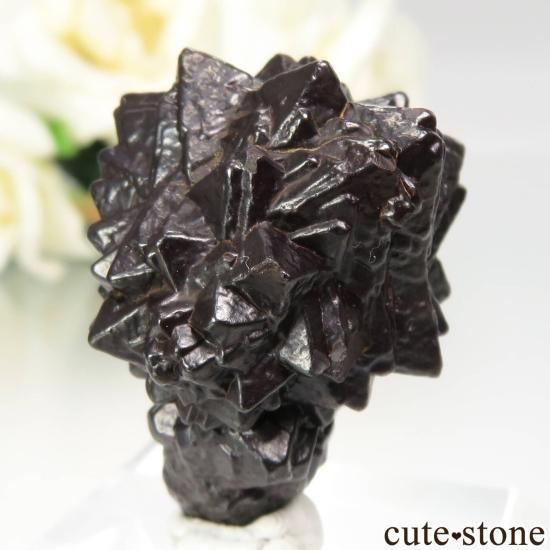  (ޡȲ˥ץȤ åȥȡ No.12μ̿1 cute stone