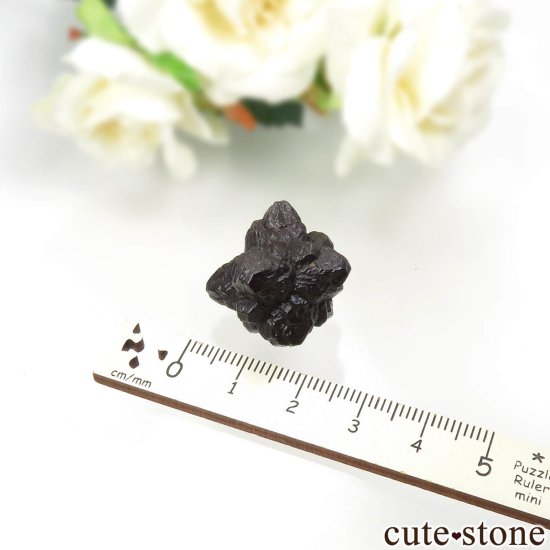  (ޡȲ˥ץȤ åȥȡ No.14μ̿2 cute stone