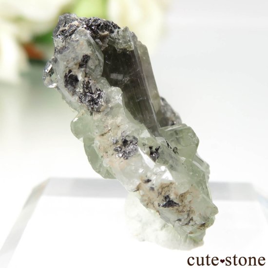 󥶥˥ ˻ 󥶥ʥȡץȤθ No.96μ̿0 cute stone