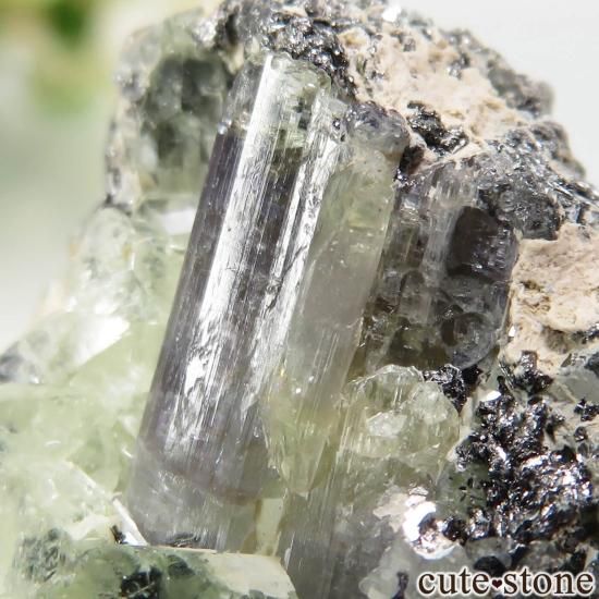 タンザニア メレラニ産 タンザナイト&ダイオプサイトの原石 No.96の写真3 cute stone