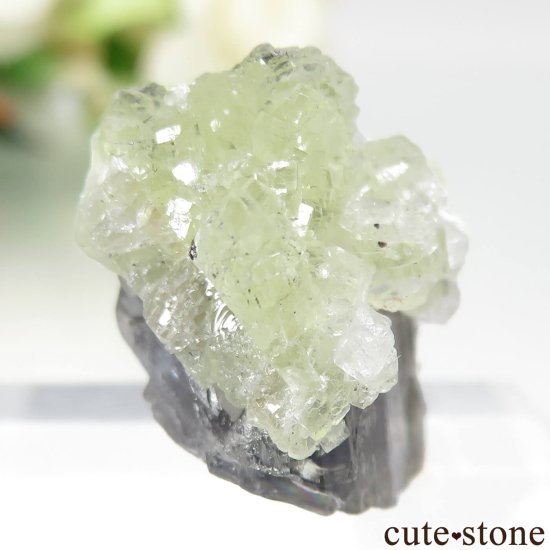 󥶥˥ ˻ 󥶥ʥȡץʥȤθ No.97μ̿1 cute stone