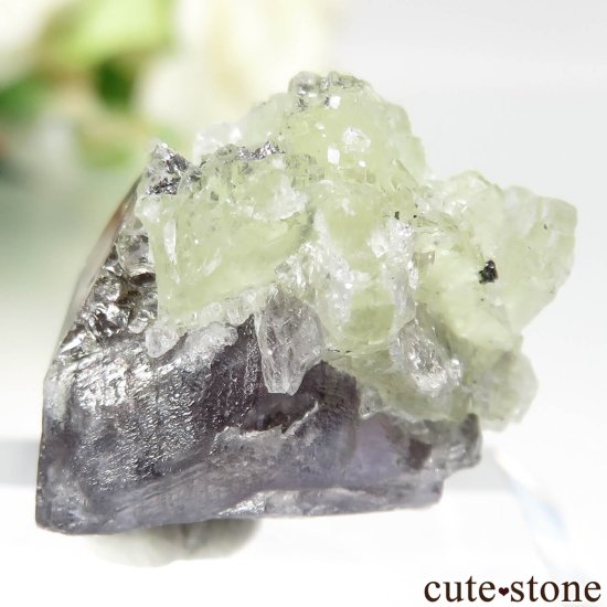 󥶥˥ ˻ 󥶥ʥȡץʥȤθ No.97μ̿2 cute stone