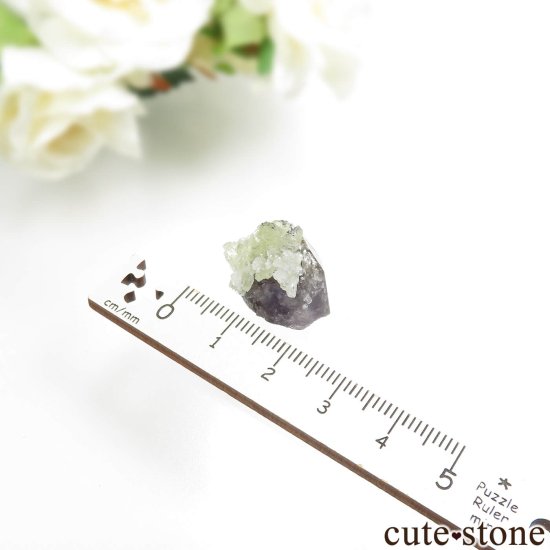 󥶥˥ ˻ 󥶥ʥȡץʥȤθ No.97μ̿3 cute stone