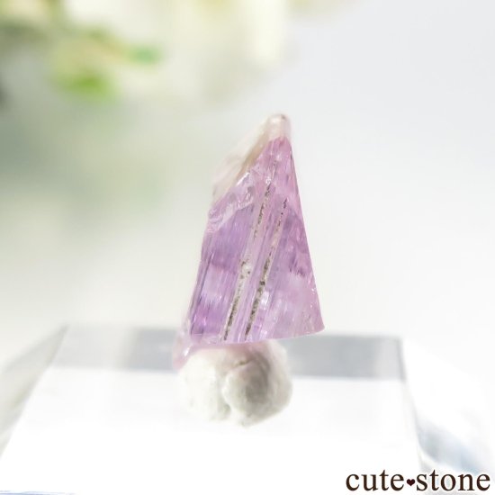 ˻ ԥ󥯥Ȥη뾽ʸСNo.98μ̿2 cute stone