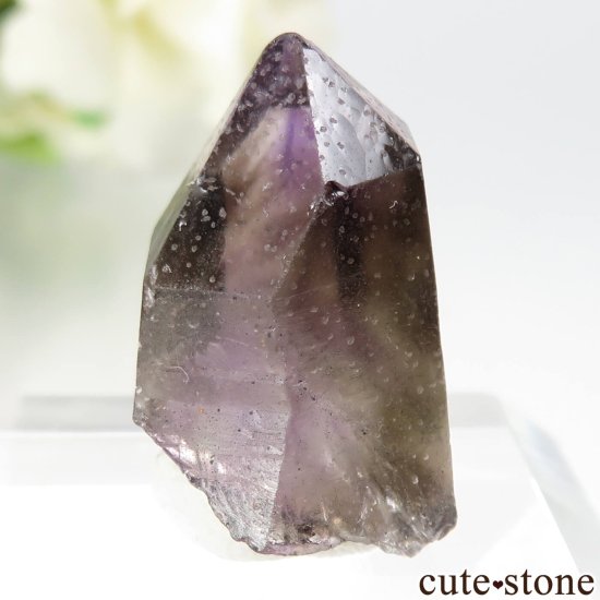 ֥饸 ԥȥȻ ᥸Ȥθ No.1μ̿0 cute stone