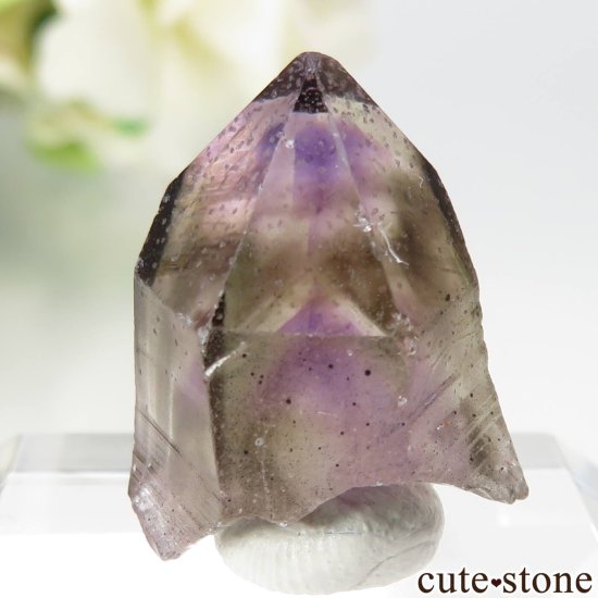 ֥饸 ԥȥȻ ᥸Ȥθ No.1μ̿1 cute stone