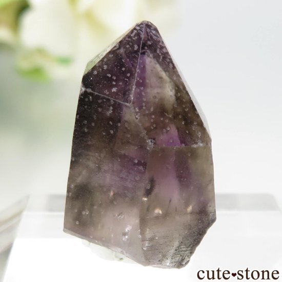֥饸 ԥȥȻ ᥸Ȥθ No.1μ̿2 cute stone