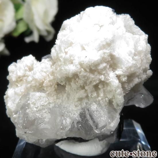 ѥ Chamacho mine ֥롼ȥޥġХȡ⥹ХȤθ No.21μ̿2 cute stone