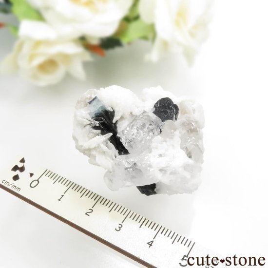 ѥ Chamacho mine ֥롼ȥޥġХȡ⥹ХȤθ No.21μ̿4 cute stone