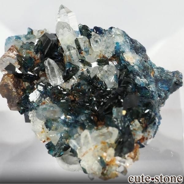 �ꥯ�����Ⱦ��� ���ʥ����饺�饤�Ȥβ���