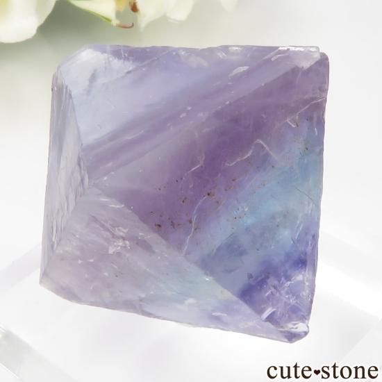 ꥫ Υ Cave-in-Rock ȬΡʤؤ뾽˥ե饤 No.25μ̿1 cute stone