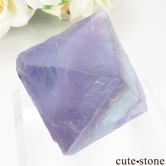 ꥫ Υ Cave-in-Rock ȬΡʤؤ뾽˥ե饤 No.25μ̿2 cute stone