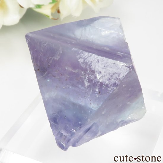 ꥫ Υ Cave-in-Rock ȬΡʤؤ뾽˥ե饤 No.25μ̿4 cute stone
