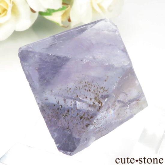 ꥫ Υ Cave-in-Rock ȬΡʤؤ뾽˥ե饤 No.26μ̿1 cute stone
