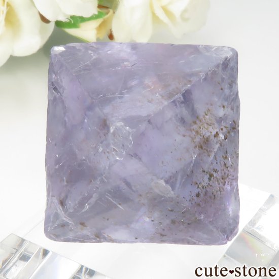 ꥫ Υ Cave-in-Rock ȬΡʤؤ뾽˥ե饤 No.26μ̿2 cute stone