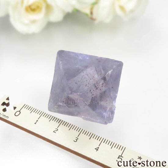 ꥫ Υ Cave-in-Rock ȬΡʤؤ뾽˥ե饤 No.26μ̿5 cute stone