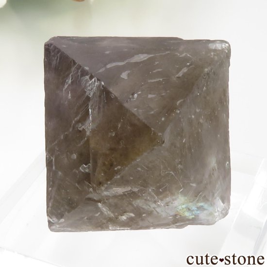 ꥫ Υ Cave-in-Rock ȬΡʤؤ뾽˥ե饤 No.27μ̿2 cute stone