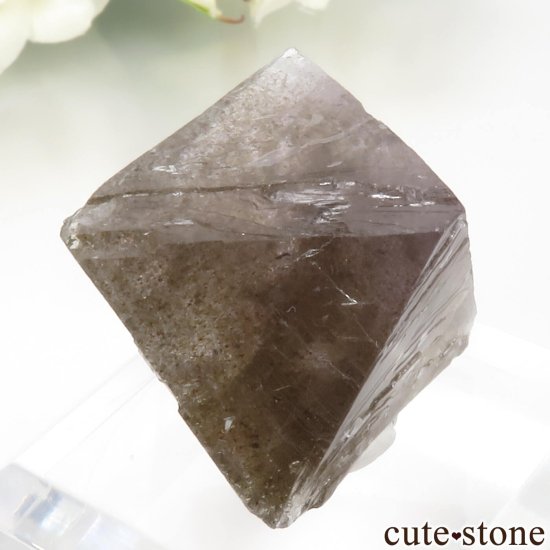 ꥫ Υ Cave-in-Rock ȬΡʤؤ뾽˥ե饤 No.27μ̿3 cute stone