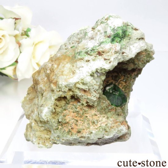  Belqeys MountainΥǥޥȥɥͥåȤθ No.16μ̿0 cute stone
