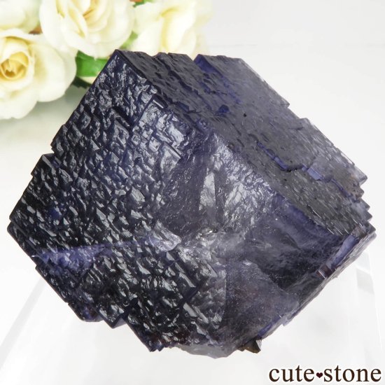 ꥫ ०åɹۻ ѡץ֥롼ե饤ȡե饤Ȥθ No.43μ̿0 cute stone