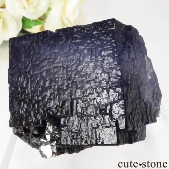 ꥫ ०åɹۻ ѡץ֥롼ե饤ȡե饤Ȥθ No.43μ̿1 cute stone