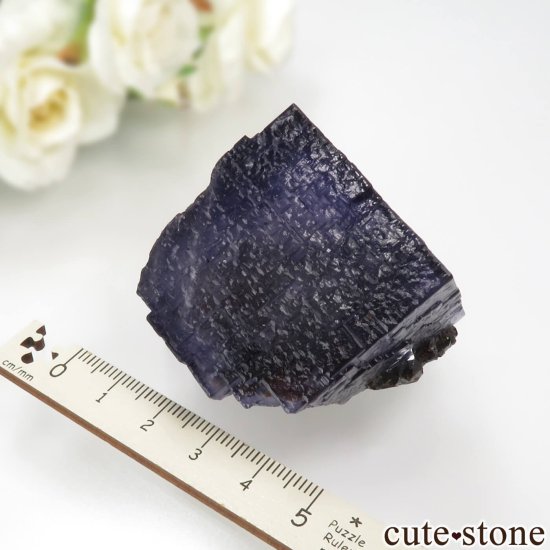 ꥫ ०åɹۻ ѡץ֥롼ե饤ȡե饤Ȥθ No.43μ̿6 cute stone