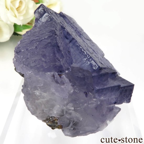 ꥫ ०åɹۻ ѡץ֥롼ե饤ȡե饤Ȥθ No.44μ̿0 cute stone
