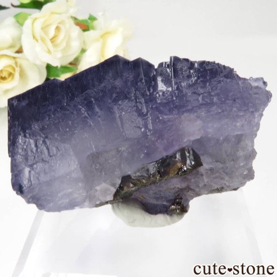 ꥫ ०åɹۻ ѡץ֥롼ե饤ȡե饤Ȥθ No.44μ̿1 cute stone