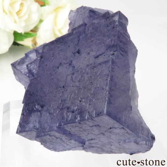 ꥫ ०åɹۻ ѡץ֥롼ե饤ȡե饤Ȥθ No.44μ̿2 cute stone
