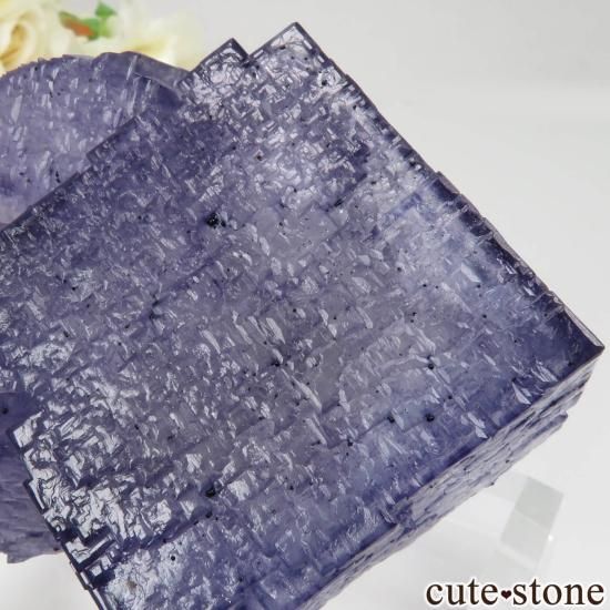 ꥫ ०åɹۻ ѡץ֥롼ե饤ȡե饤Ȥθ No.44μ̿3 cute stone