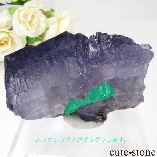 ꥫ ०åɹۻ ѡץ֥롼ե饤ȡե饤Ȥθ No.44μ̿5 cute stone