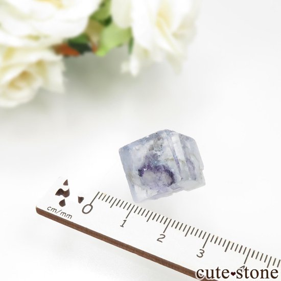䥪󥷥 ֥롼ե饤Ȥθ No.81μ̿3 cute stone