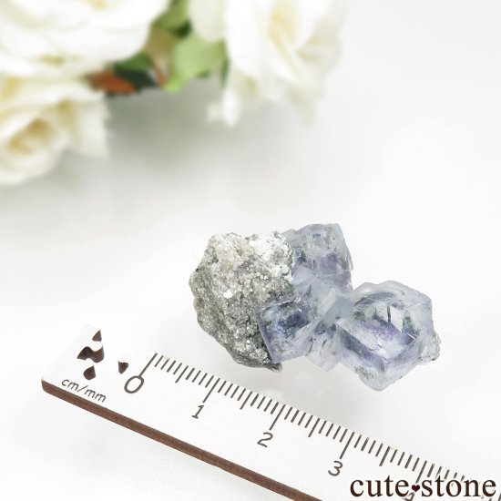 䥪󥷥 ֥롼ե饤Ȥθ No.82μ̿3 cute stone