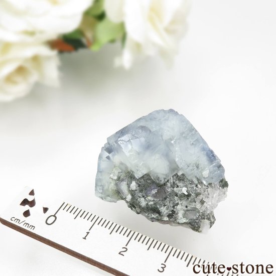 䥪󥷥 ֥롼ե饤ȡĤθ No.83μ̿3 cute stone