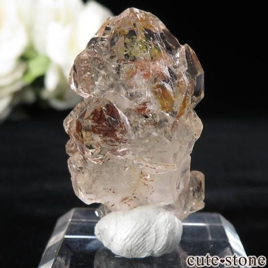 ޥ Besalampy 륤󥯥ġʥڥȥꥢˤθ No.1μ̿1 cute stone