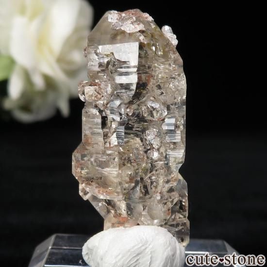 ޥ Besalampy 륤󥯥ġʥڥȥꥢˤθ No.2μ̿1 cute stone