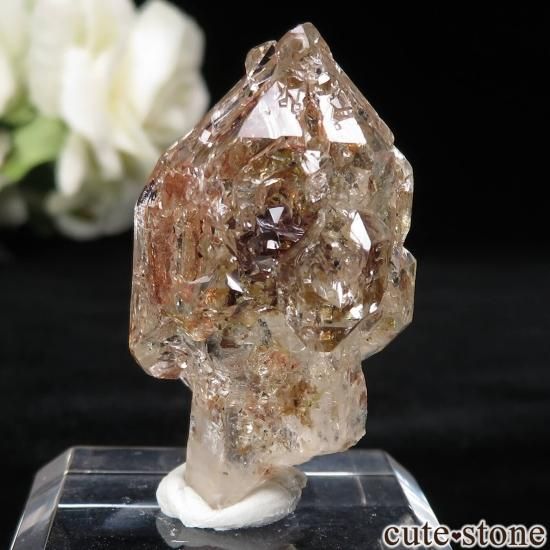 ޥ Besalampy 륤󥯥ġʥڥȥꥢˤθ No.3μ̿1 cute stone