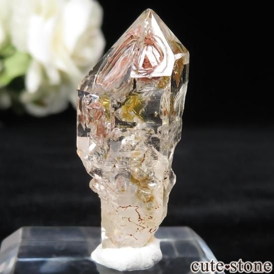 ޥ Besalampy 륤󥯥ġʥڥȥꥢˤθ No.5μ̿1 cute stone