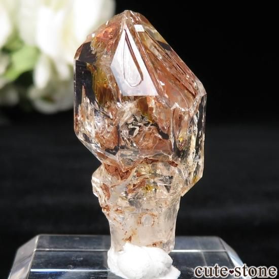 ޥ Besalampy 륤󥯥ġʥڥȥꥢˤθ No.6μ̿1 cute stone