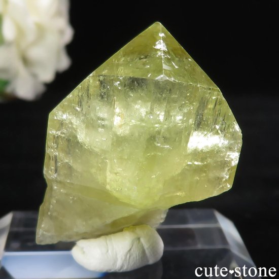 ֥饸 Linopolis ֥饸ꥢʥȤθ No.10μ̿1 cute stone